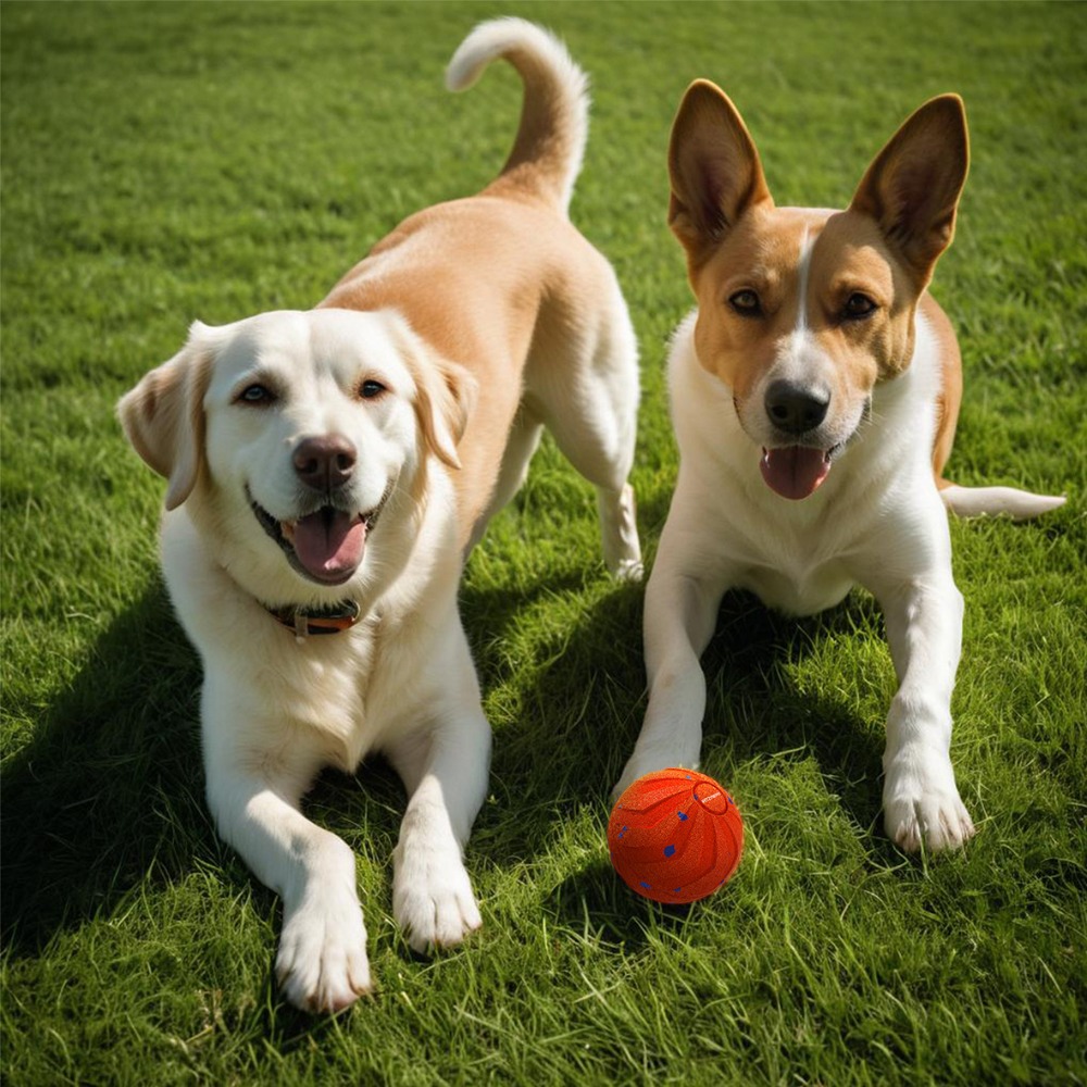 Bite Resistant Smart Dog Ball  - Automatic Moving Dog Ball review and price