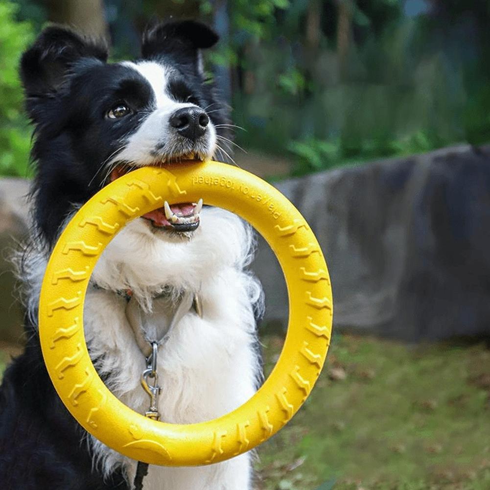 Dog Ring Toys Pet Flying Disk  - Interactive Squeaky Plush Dog Toy review and price