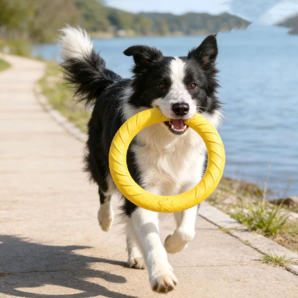 Dog Ring Toys Pet Flying Disk  - Interactive Squeaky Plush Dog Toy review and price