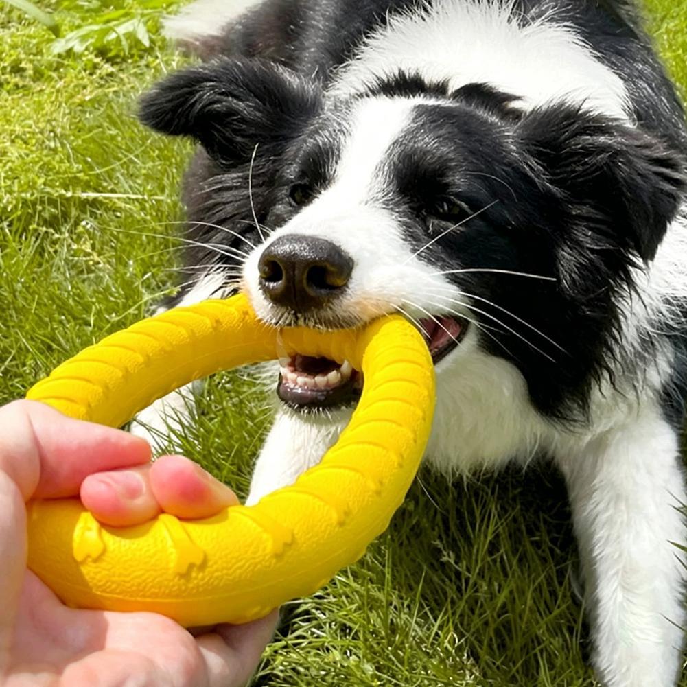 Dog Ring Toys Pet Flying Disk  - Interactive Squeaky Plush Dog Toy review and price