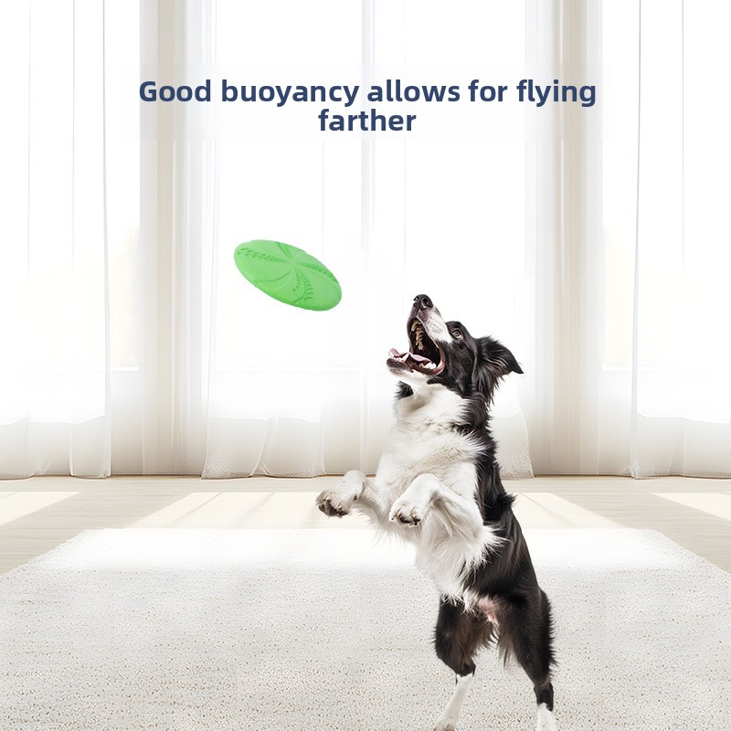 EVA Interactive Training Frisb - Flying Disc Dog Training Toy review and price