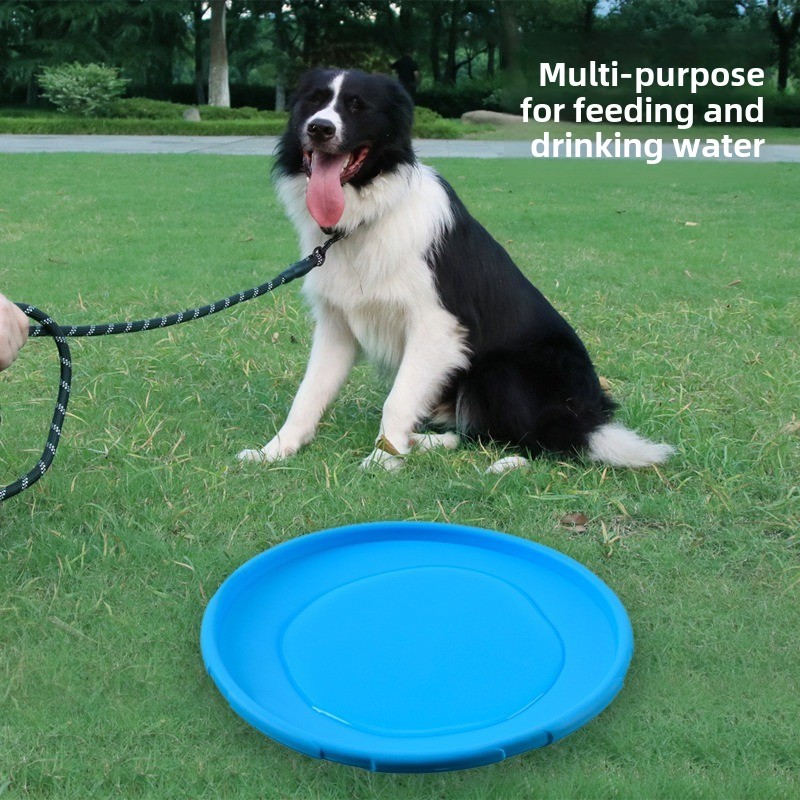Multicolor Frisbeed Dog Toy 22 - Flying Disc Dog Training Toy review and price