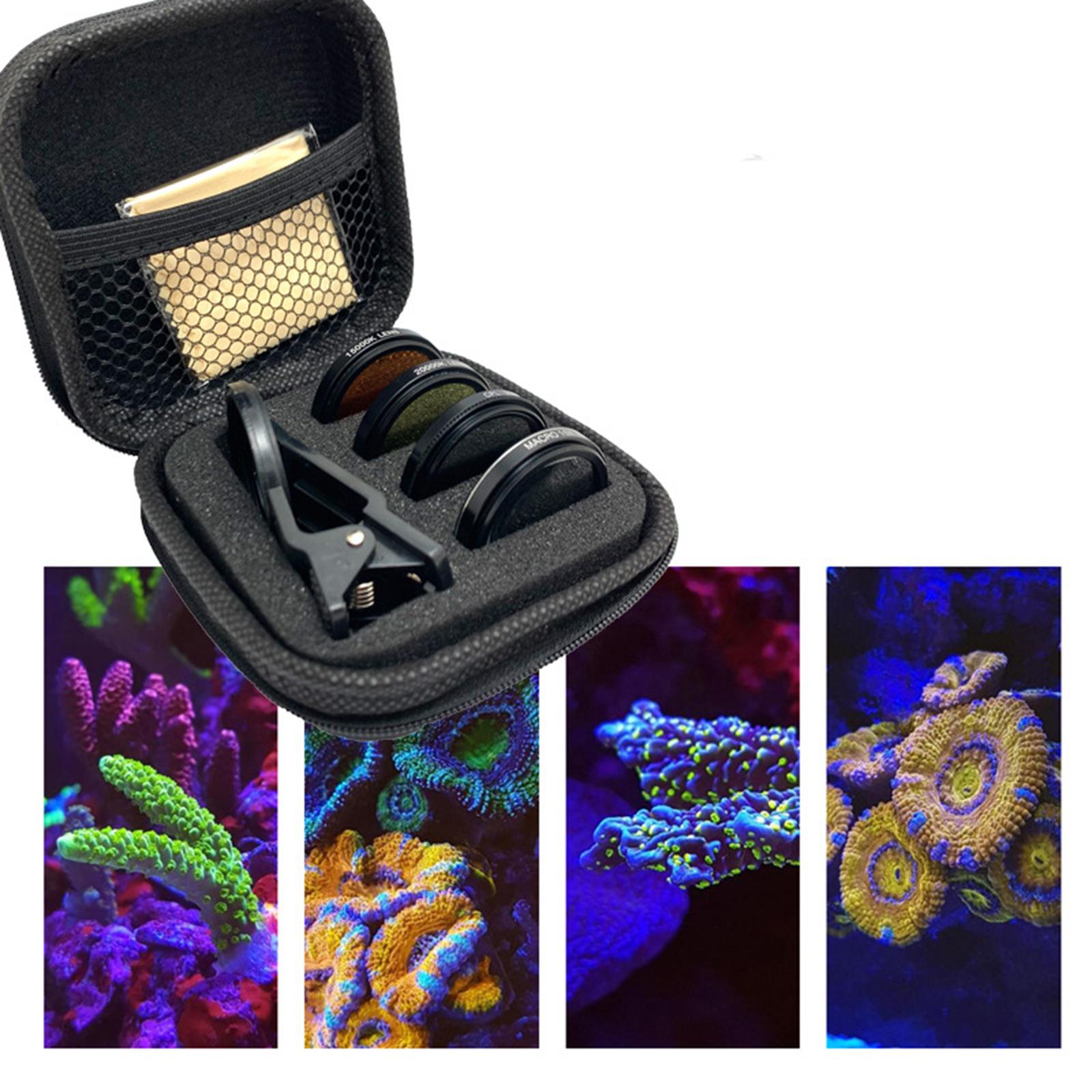 Fish Lens Camera Coral Reef Ph - Aquarium review and price